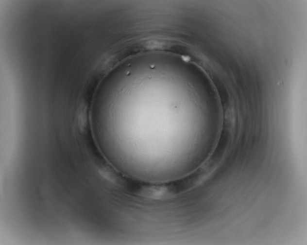 X0000114570554200910191505