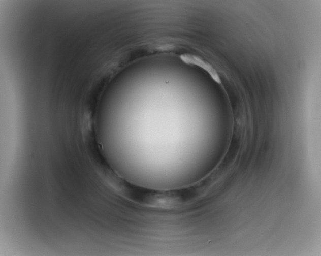 X0000114570555200910191505