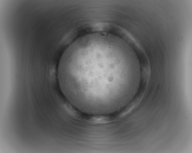 X0000114570557200910191505