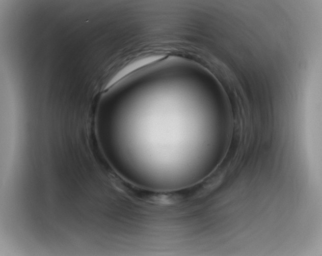 X0000114570558200910191505