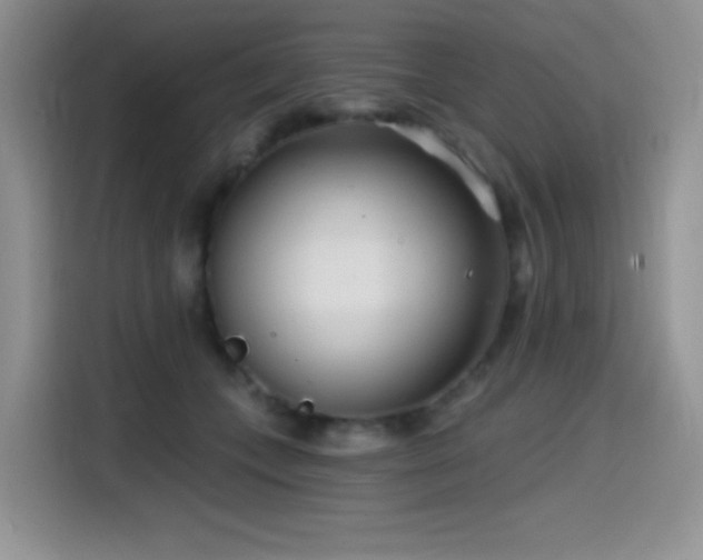 X0000114570559200910191505