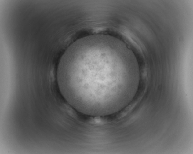 X0000114570565200910191505