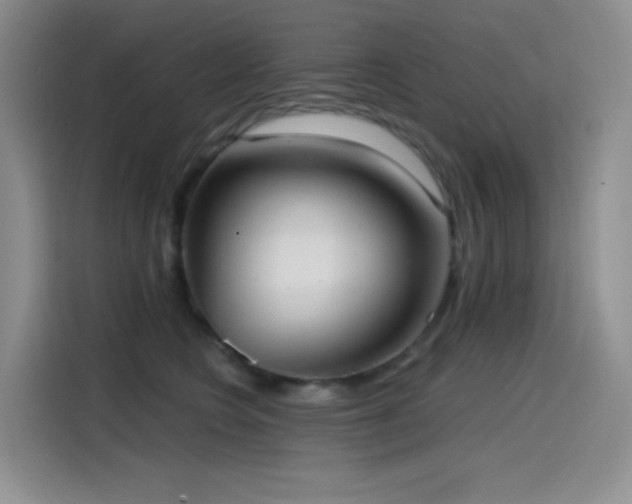 X0000114570566200910191505