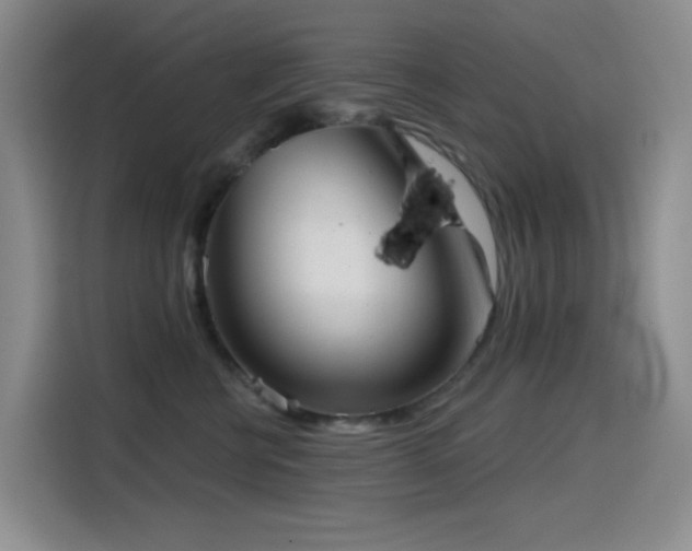 X0000114570570200910191505