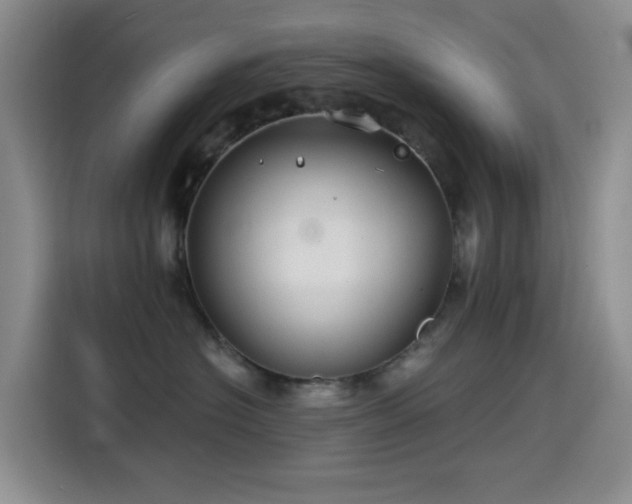 X0000114570574200910191505