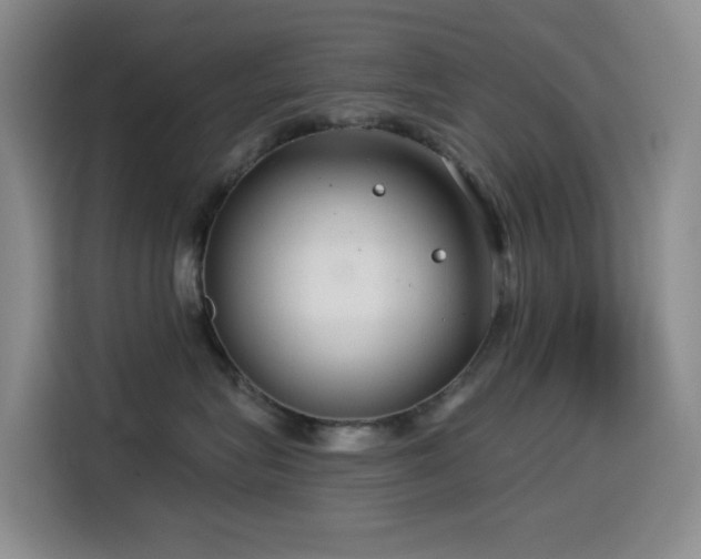 X0000114570575200910191505