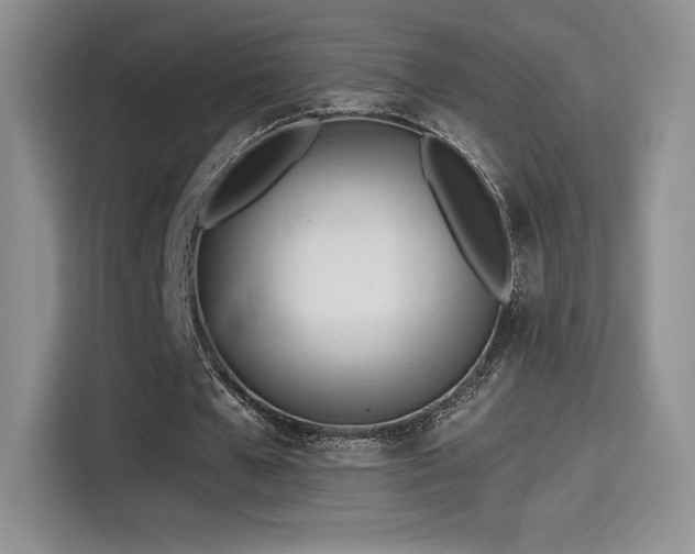 X0000114570577200910191505