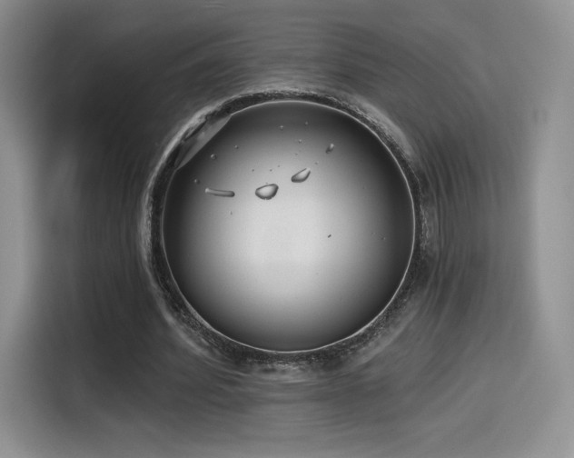 X0000114570580200910191505