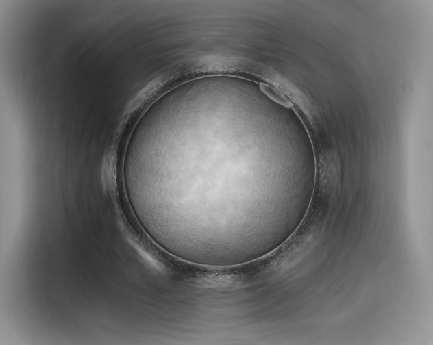 X0000114570581200910191505