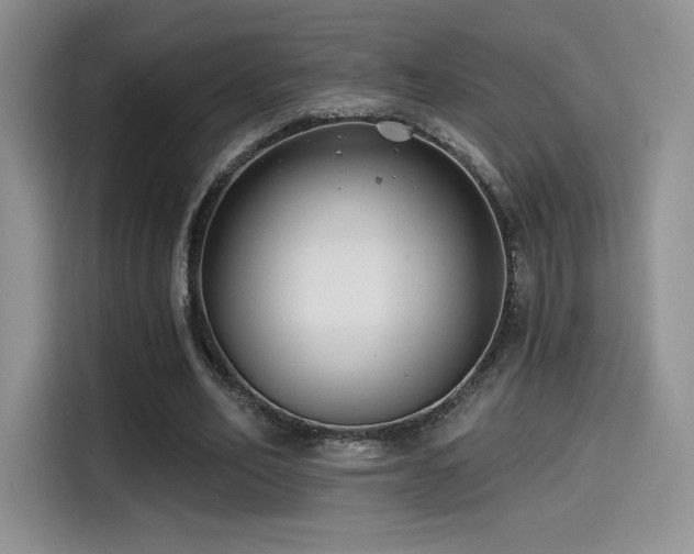 X0000114570582200910191505