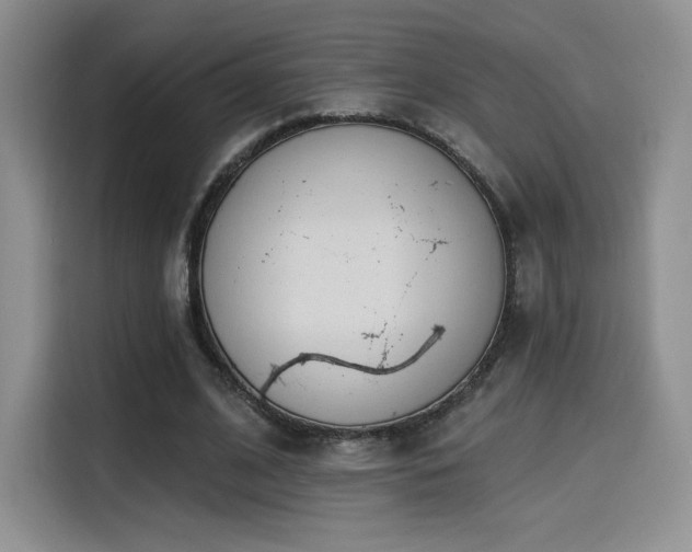 X0000114570584200910191505