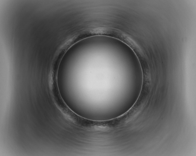 X0000114570586200910191505