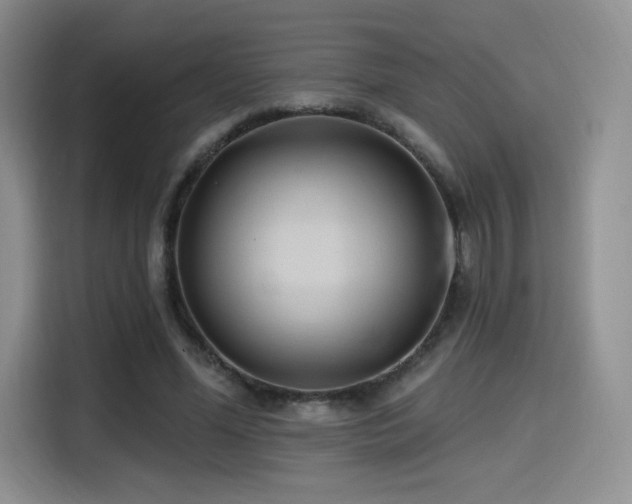 X0000114570588200910191505