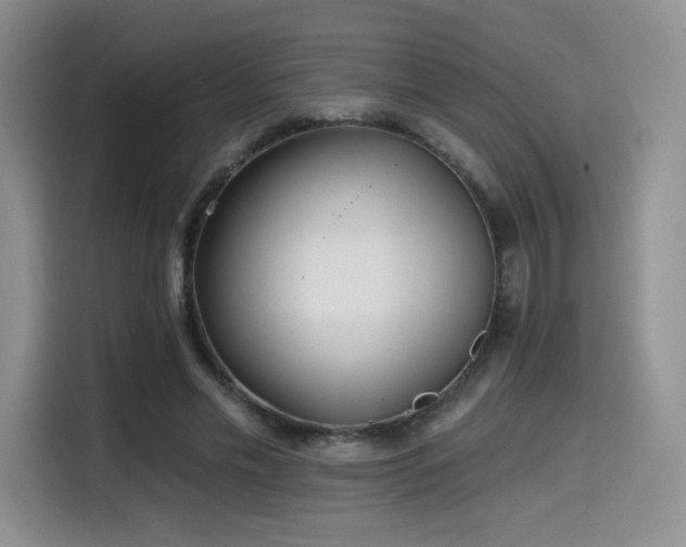 X0000114570589200910191505