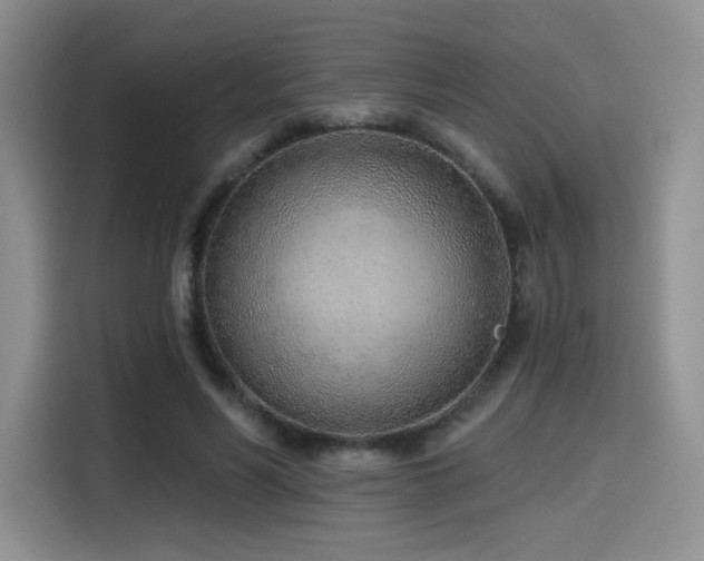 X0000114570590200910191505