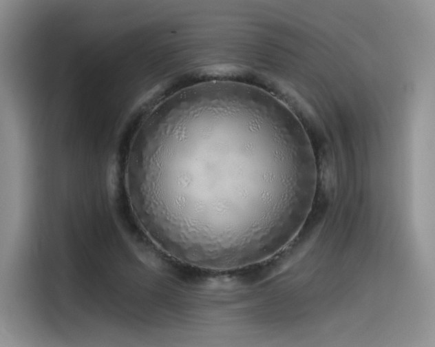 X0000114570591200910191505