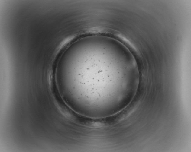 X0000114570592200910191505