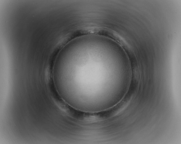 X0000114570594200910191505