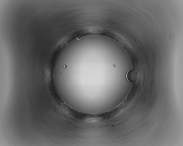 X0000114570595200910191505