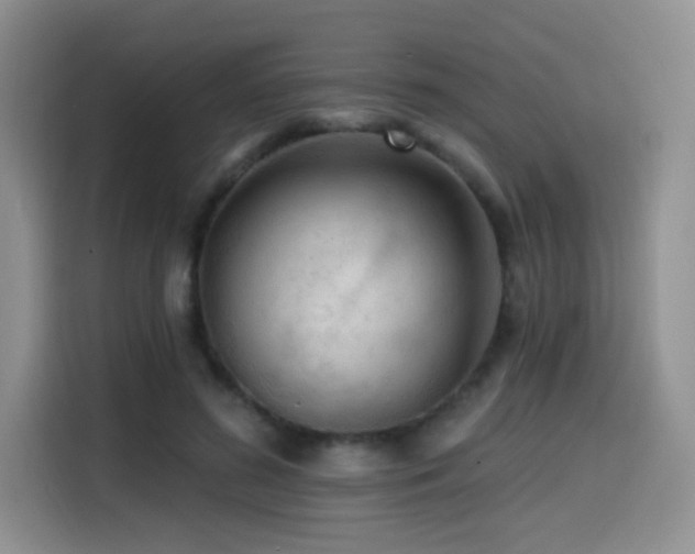 X0000114570596200910191505