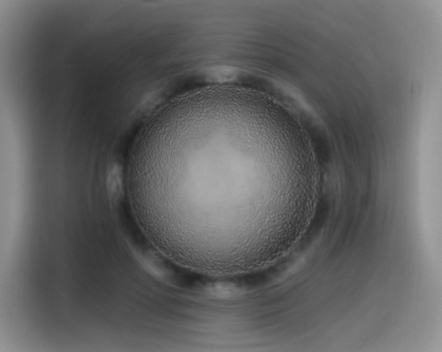 X0000114570598200910191505