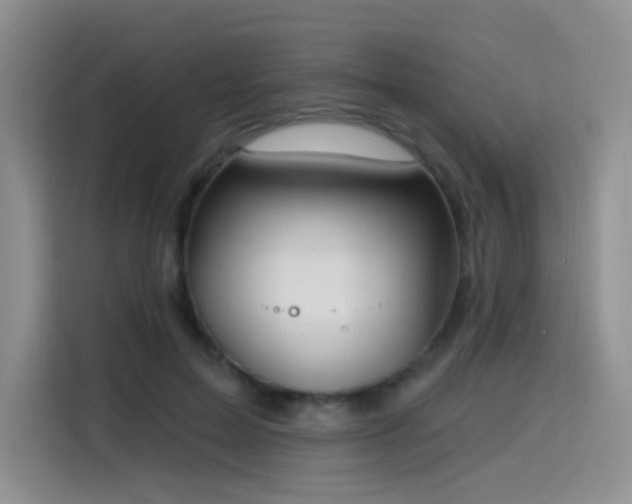 X0000114570599200910191505