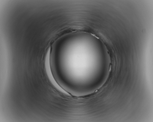 X0000114570609200910191504