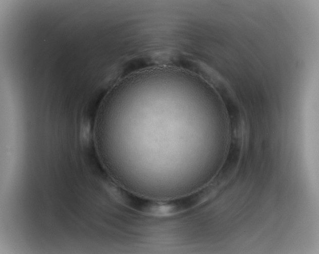 X0000114570610200910191504