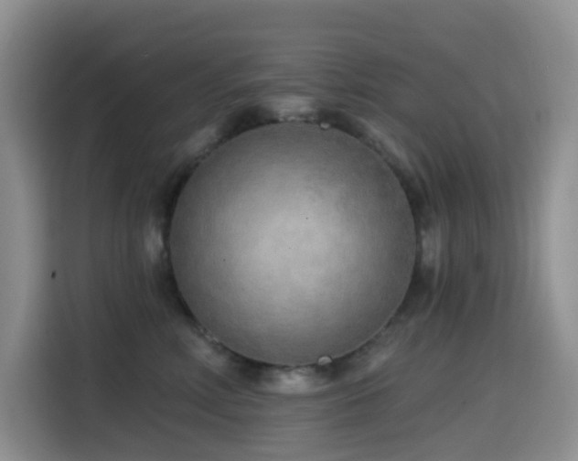 X0000114570618200910191504