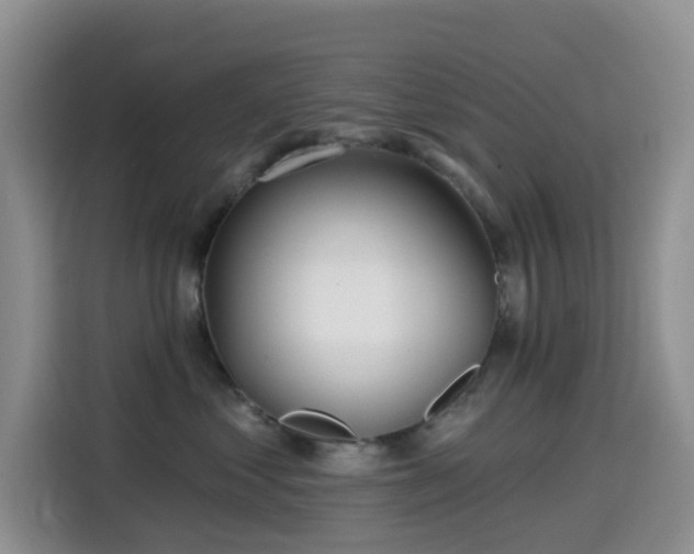 X0000114570621200910191504