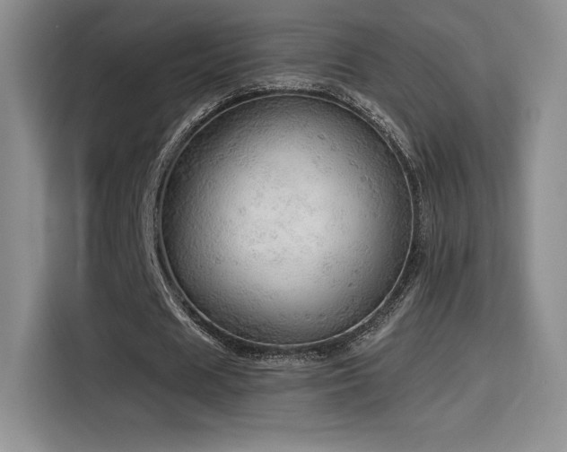 X0000114570625200910191504