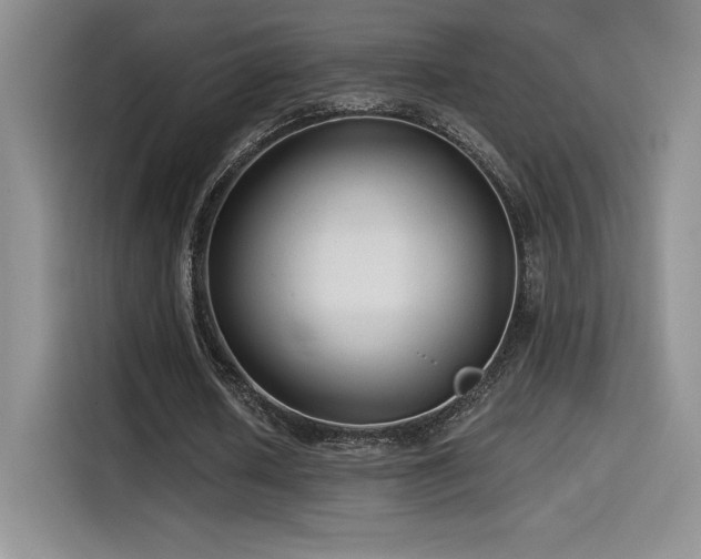 X0000114570626200910191504