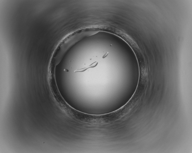 X0000114570628200910191504