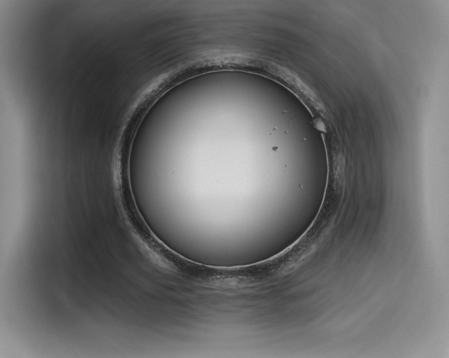 X0000114570629200910191504