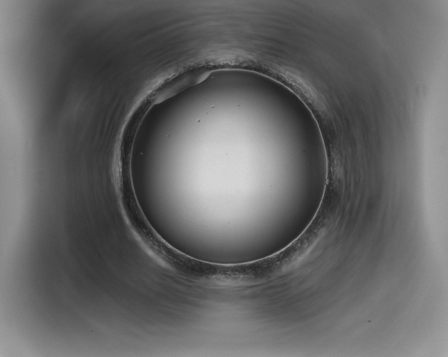 X0000114570630200910191504