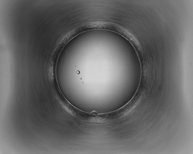 X0000114570633200910191504