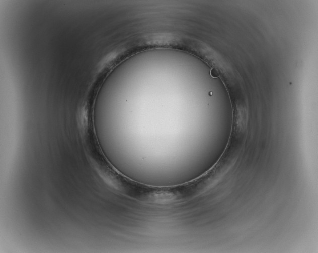 X0000114570636200910191504