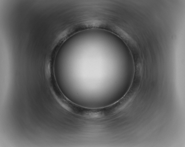 X0000114570638200910191504