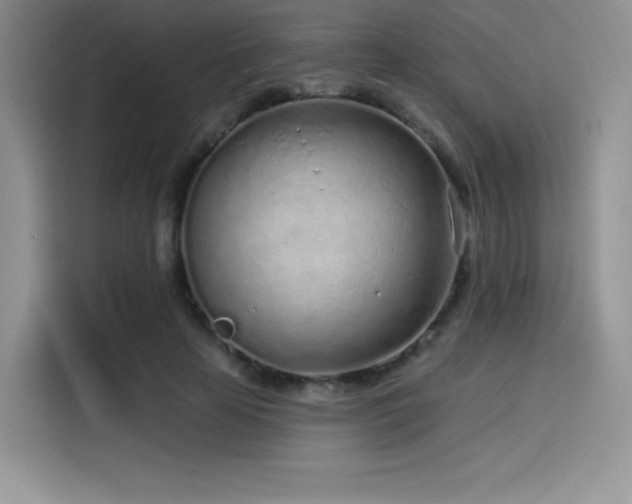 X0000114570641200910191504