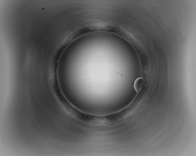 X0000114570642200910191504