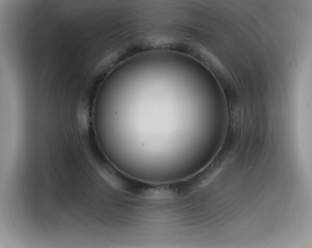 X0000114570644200910191504