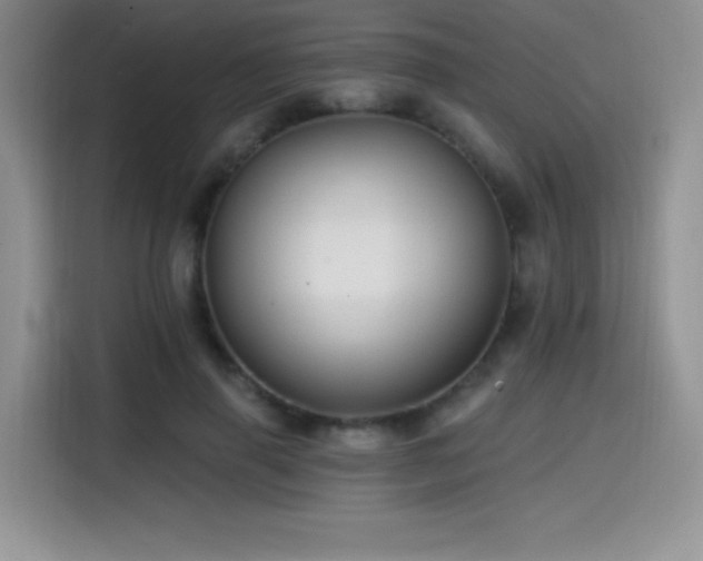 X0000114570645200910191504