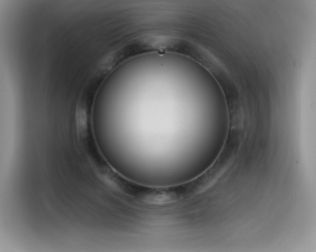 X0000114570646200910191504