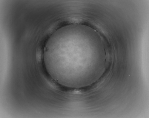 X0000114570647200910191504