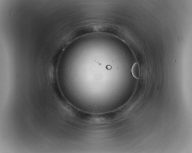 X0000114570650200910191504