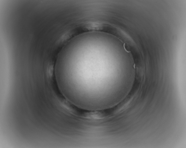 X0000114570652200910191504