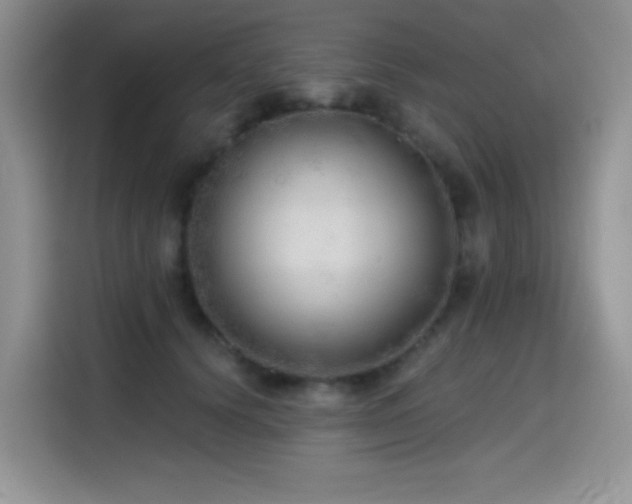 X0000114570656200910191504