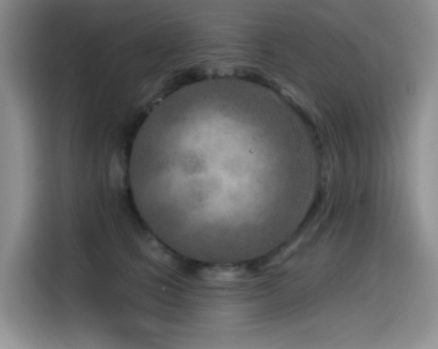 X0000114570661200910191504