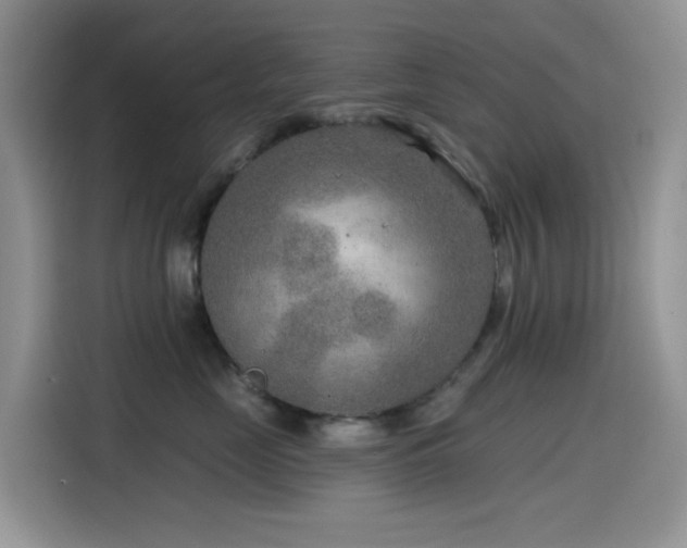 X0000114570669200910191504