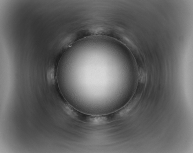 X0000114570670200910191504